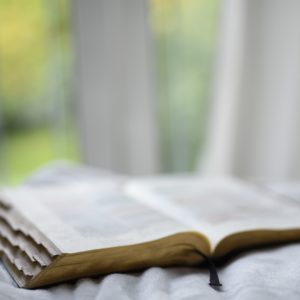 Online Vorträge: Glaubwürdigkeit der Bibel – Erwin Keck